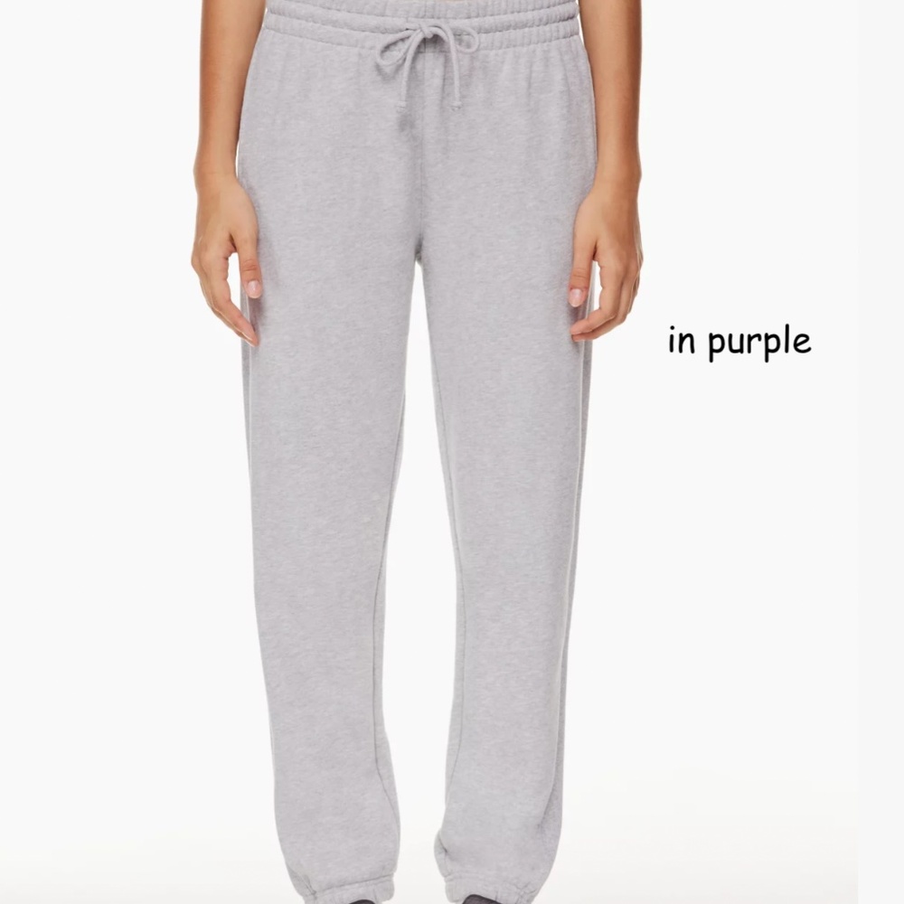 Aritzia TNA Terry Fleece Boyfriend Sweatpant Small NWT purple